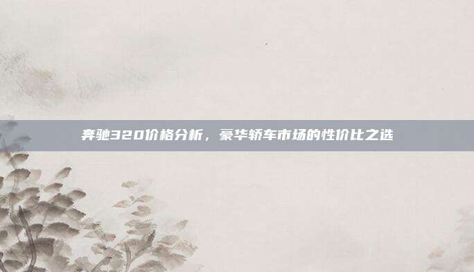 奔驰320价格分析，豪华轿车市场的性价比之选