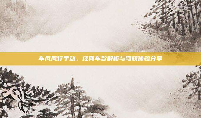 车风风行手动，经典车款解析与驾驭体验分享