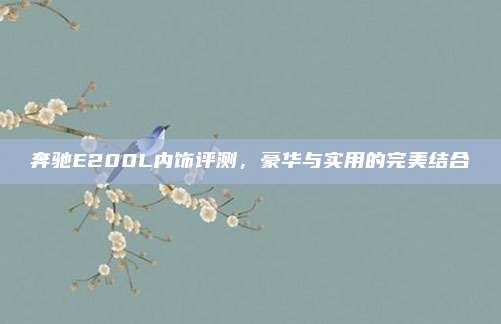 奔驰E200L内饰评测，豪华与实用的完美结合
