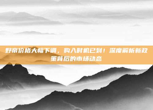 野帝价格大幅下调，购入时机已到！深度解析新政策背后的市场动态