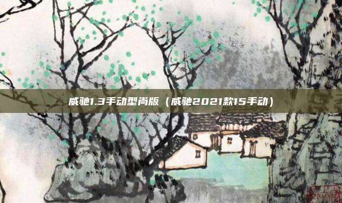 威驰1.3手动型尚版（威驰2021款15手动）