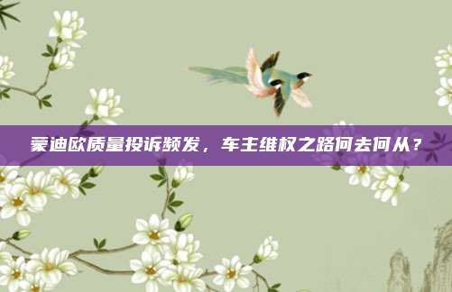 蒙迪欧质量投诉频发，车主维权之路何去何从？