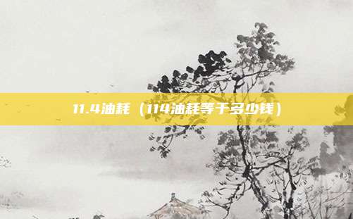 11.4油耗（114油耗等于多少钱）