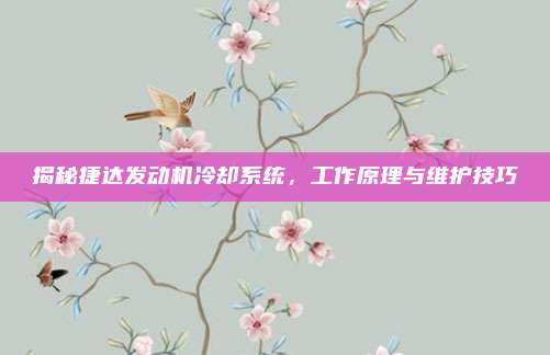 揭秘捷达发动机冷却系统，工作原理与维护技巧