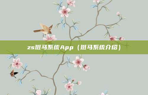 zs斑马系统App（斑马系统介绍）