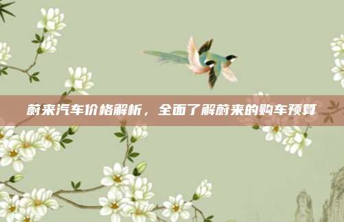 蔚来汽车价格解析，全面了解蔚来的购车预算
