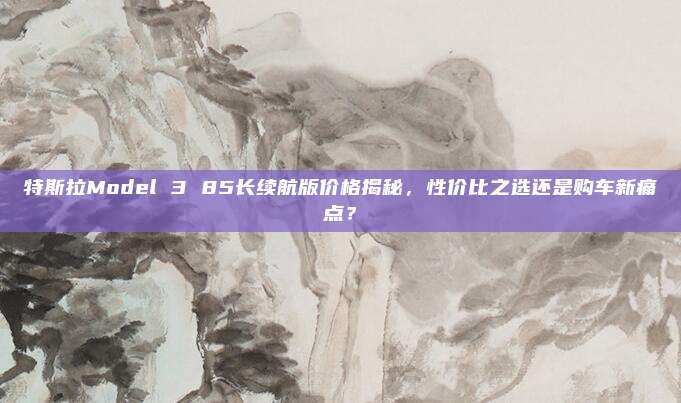 特斯拉Model 3 85长续航版价格揭秘,性价比之选还是购车新痛点?