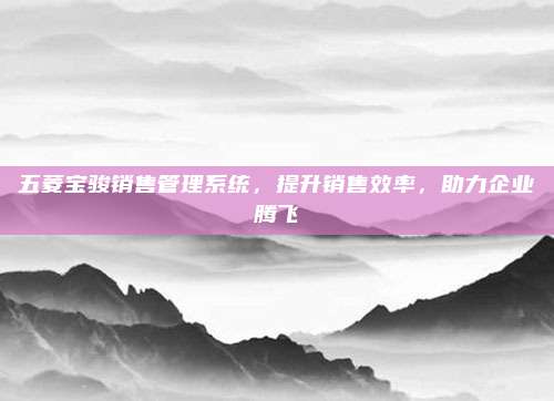 五菱宝骏销售管理系统，提升销售效率，助力企业腾飞