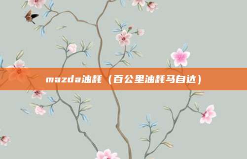 mazda油耗(百公里油耗马自达)