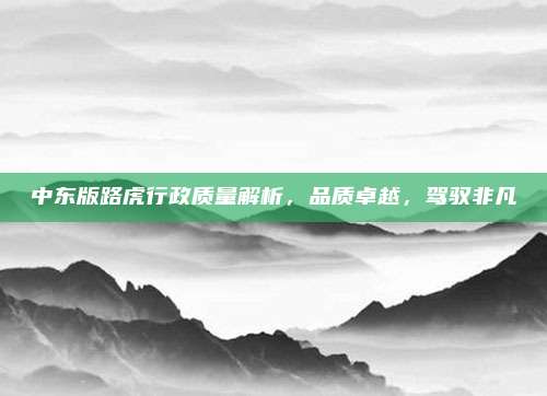 中东版路虎行政质量解析,品质卓越,驾驭非凡