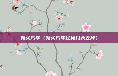 新买汽车（新买汽车红绳几天去掉）