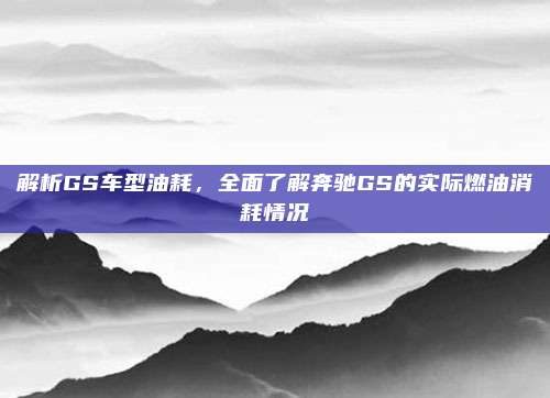 解析GS车型油耗，全面了解奔驰GS的实际燃油消耗情况