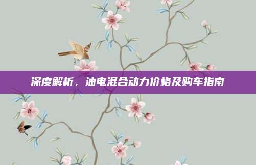 深度解析,油电混合动力价格及购车指南