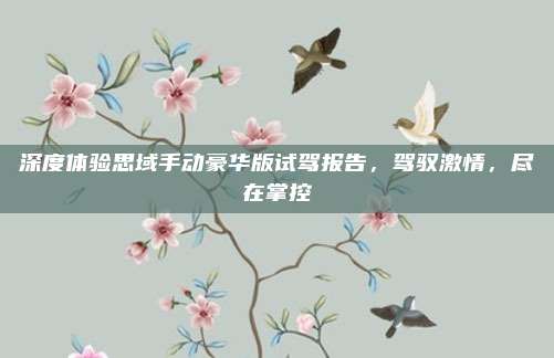 深度体验思域手动豪华版试驾报告，驾驭激情，尽在掌控