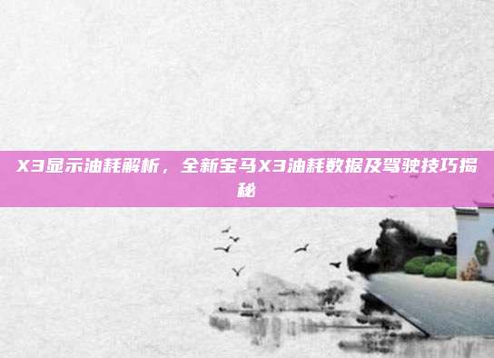 X3显示油耗解析,全新宝马X3油耗数据及驾驶技巧揭秘