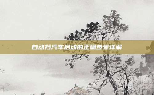 自动挡汽车启动的正确步骤详解