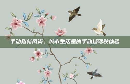 手动挡新风尚，城市生活里的手动挡驾驶体验