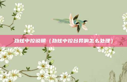 劲炫中控说明（劲炫中控台异响怎么处理）