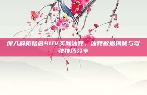 深入解析猛禽SUV实际油耗,油耗数据揭秘与驾驶技巧分享
