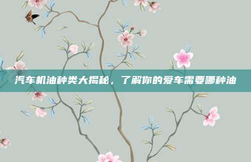 汽车机油种类大揭秘,了解你的爱车需要哪种油