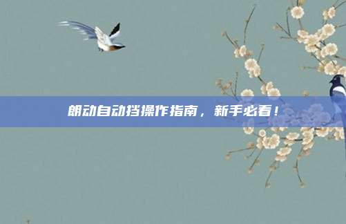 朗动自动挡操作指南，新手必看！