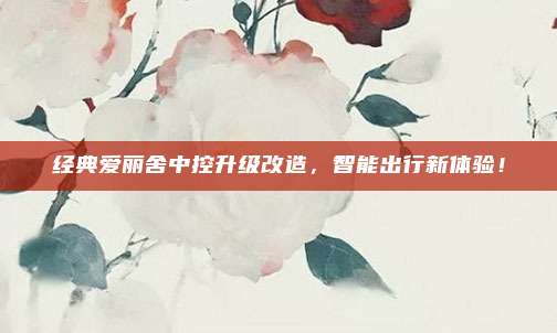 经典爱丽舍中控升级改造，智能出行新体验！