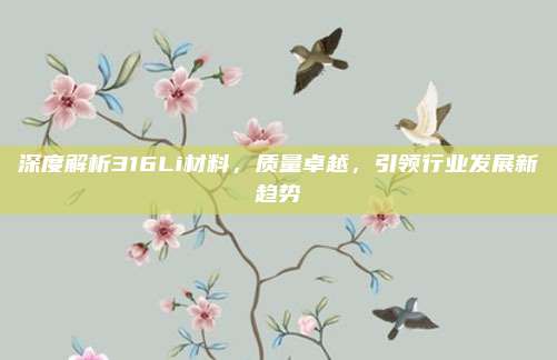 深度解析316Li材料,质量卓越,引领行业发展新趋势