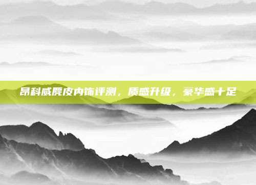 昂科威麂皮内饰评测，质感升级，豪华感十足