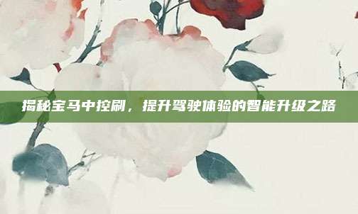揭秘宝马中控刷，提升驾驶体验的智能升级之路