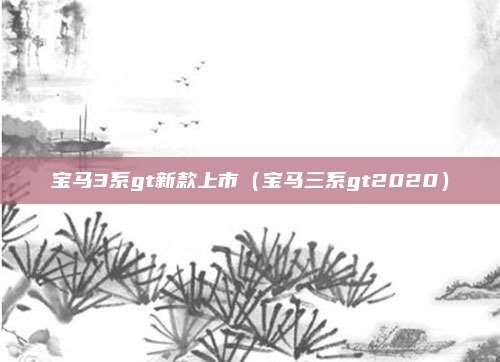 宝马3系gt新款上市（宝马三系gt2020）
