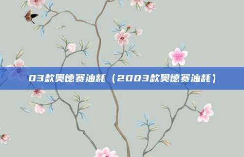 03款奥德赛油耗（2003款奥德赛油耗）
