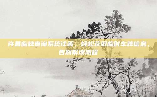 许昌临牌查询系统详解，轻松获取临时车牌信息，告别繁琐流程