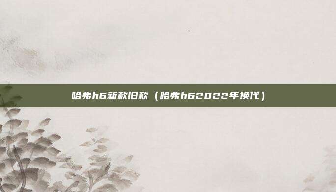 哈弗h6新款旧款（哈弗h62022年换代）