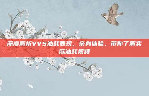 深度解析VV5油耗表现，亲身体验，带你了解实际油耗视频