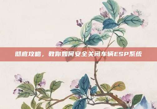 彻底攻略，教你如何安全关闭车辆ESP系统