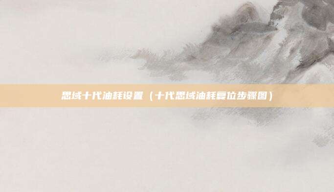 思域十代油耗设置（十代思域油耗复位步骤图）