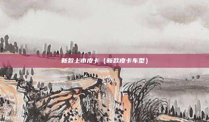新款上市皮卡（新款皮卡车型）