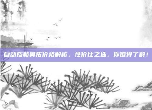 自动挡新奥拓价格解析，性价比之选，你值得了解！