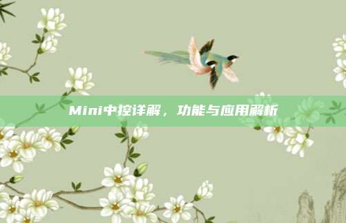 Mini中控详解，功能与应用解析