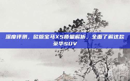 深度评测，欧版宝马X5质量解析，全面了解这款豪华SUV