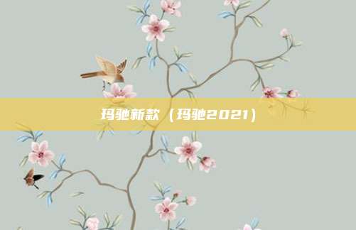 玛驰新款（玛驰2021）