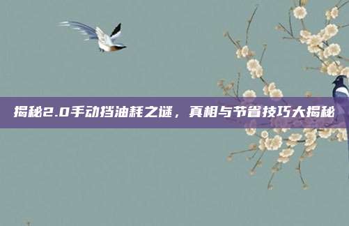 揭秘2.0手动挡油耗之谜，真相与节省技巧大揭秘