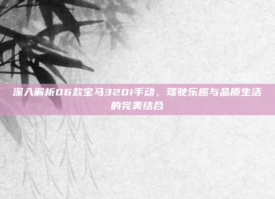 深入解析06款宝马320i手动，驾驶乐趣与品质生活的完美结合
