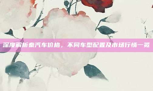 深度解析秦汽车价格,不同车型配置及市场行情一览
