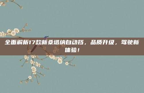 全面解析17款新桑塔纳自动挡，品质升级，驾驶新体验！