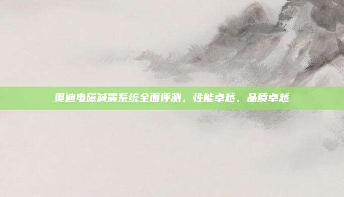 奥迪电磁减震系统全面评测，性能卓越，品质卓越