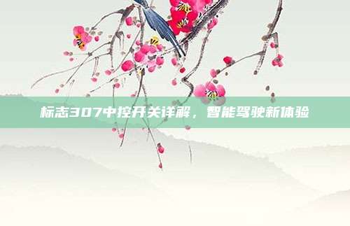 标志307中控开关详解，智能驾驶新体验