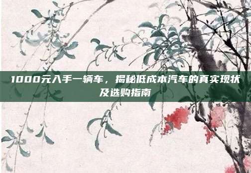 1000元入手一辆车，揭秘低成本汽车的真实现状及选购指南