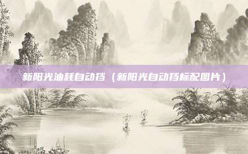 新阳光油耗自动挡（新阳光自动挡标配图片）