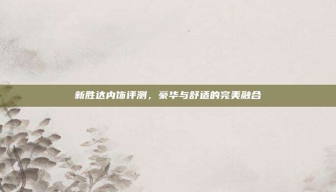 新胜达内饰评测，豪华与舒适的完美融合